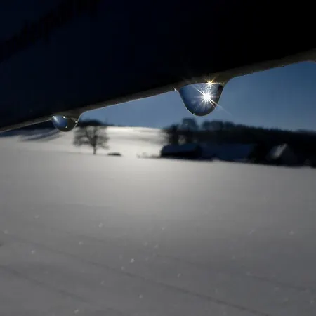 Gasthof Haus Am Walde