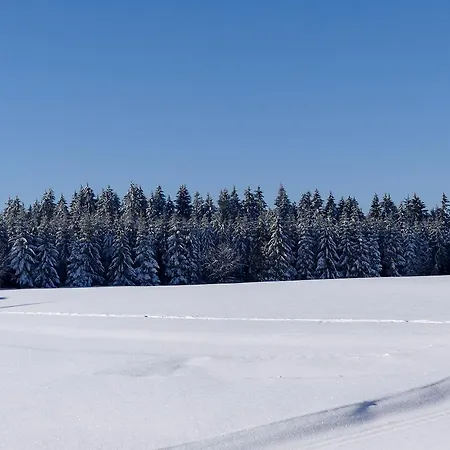 Konukevi Haus Am Walde 3*