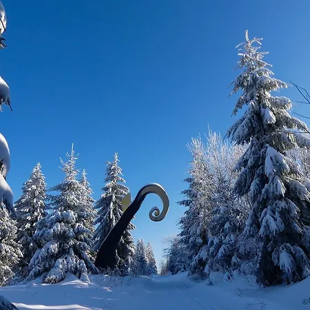 Haus Am Walde Schmallenberg