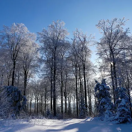 Haus Am Walde Gasthof