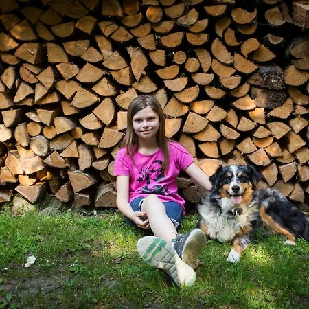 Haus Am Walde Vendégház