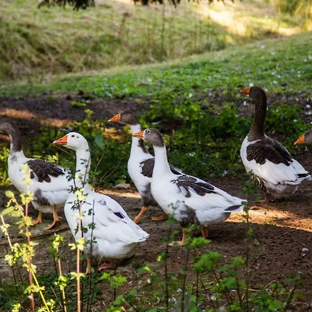 Haus Am Walde Vendégház Schmallenberg