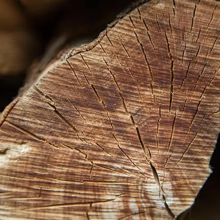 Haus Am Walde Vendégház 3*