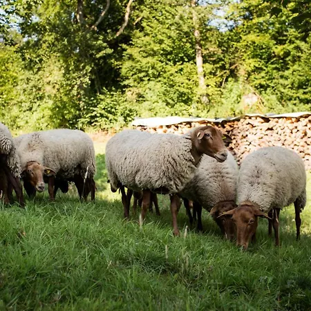 Vendégház Haus Am Walde 3*