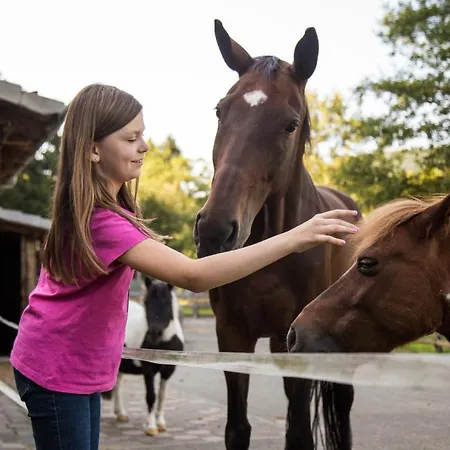 Haus Am Walde Vendégház 3*