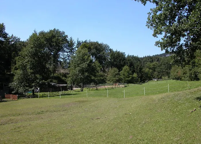 Haus Am Walde Guest house Schmallenberg