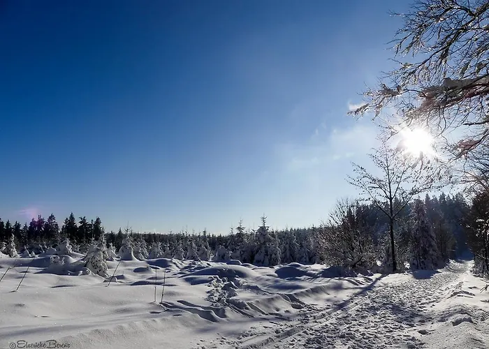 Haus Am Walde Gasthof Schmallenberg