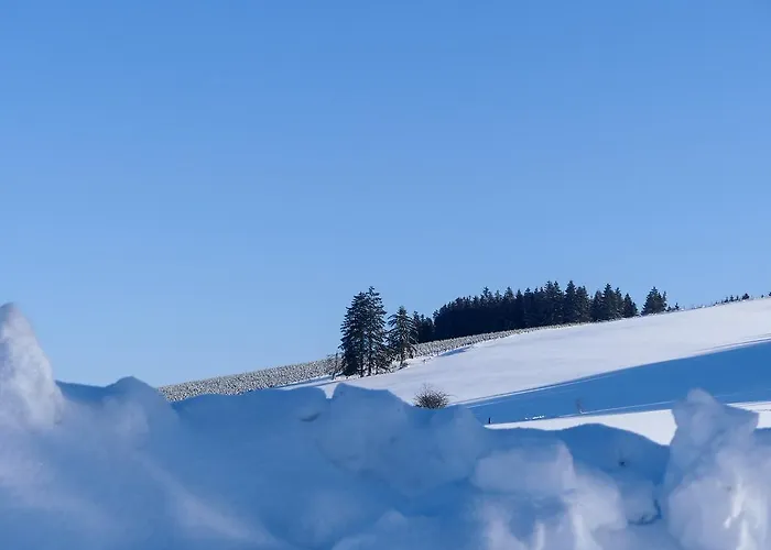 Haus Am Walde Gasthof