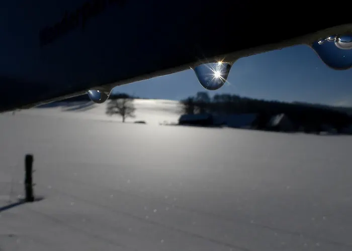 Gasthof Haus Am Walde