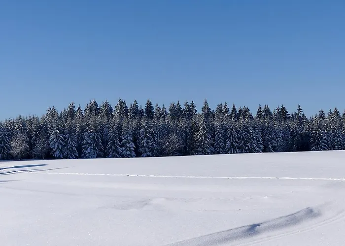 Gasthof Haus Am Walde 3*