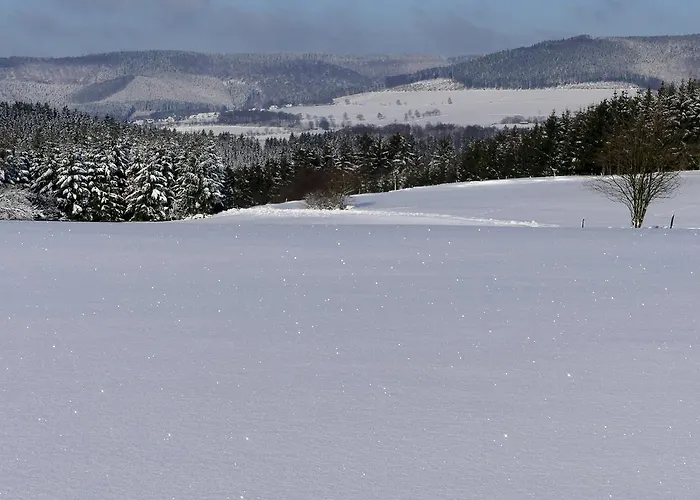 Haus Am Walde Gasthof 3*