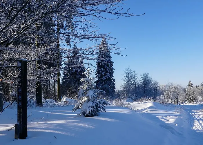 Haus Am Walde Gasthof Schmallenberg