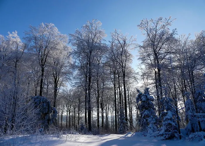 Haus Am Walde Gasthof