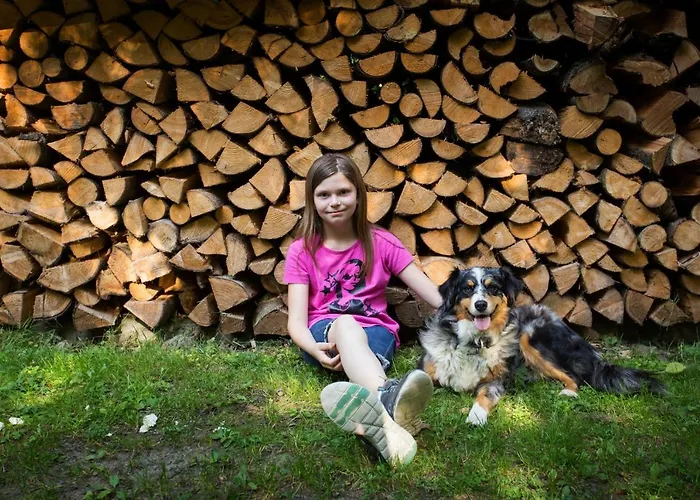 Haus Am Walde Vendégház