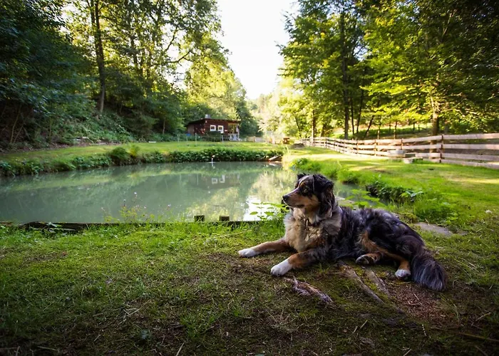Haus Am Walde Vendégház