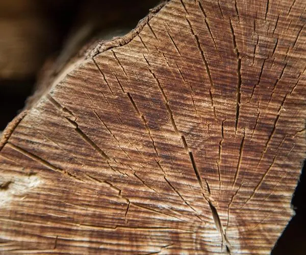 Haus Am Walde Gasthof 3*