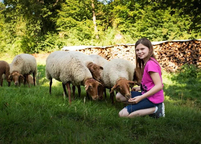 Gasthof Haus Am Walde Schmallenberg