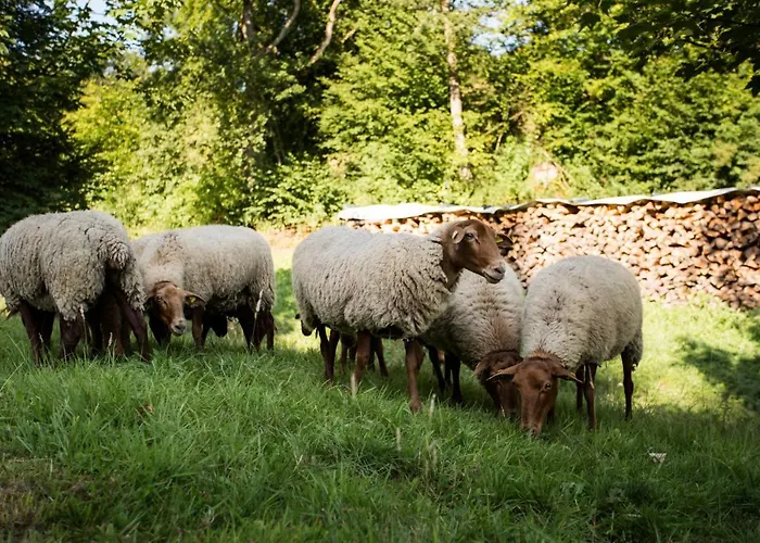 Gasthof Haus Am Walde 3*