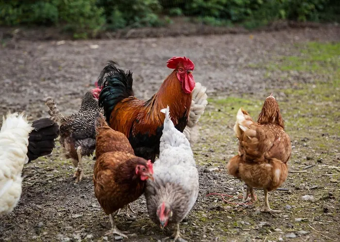 Haus Am Walde 3* Schmallenberg