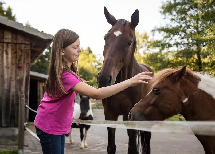 Haus Am Walde Gasthof 3*