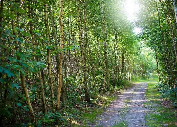 Haus Am Walde Gasthof Schmallenberg